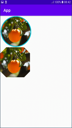 Display Shapeable Image in Android