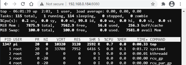 Share Terminal using GoTTY