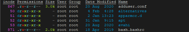 Files and Directories in Long Output Format Using exa