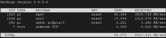 Network Bandwidth Usage Monitoring Using Nethogs