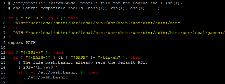 Edit file using micro on Raspberry Pi