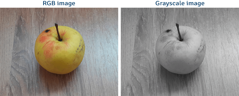 Grayscale Matlab Convert RGB Image to Grayscale Image using OpenCV | Lindevs