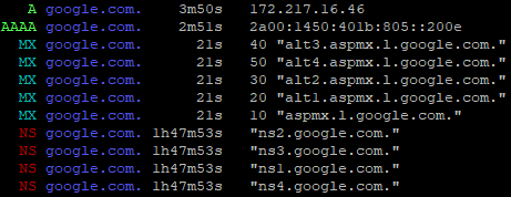 DNS lookup using dog command on Ubuntu