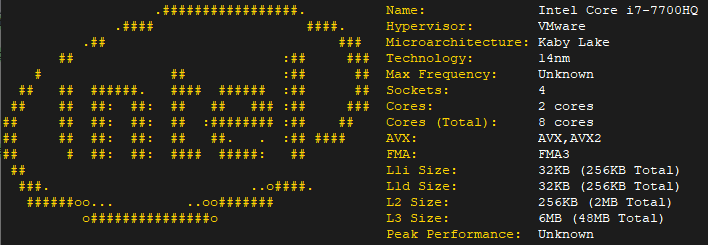 Display CPU information using cpufetch on Ubuntu