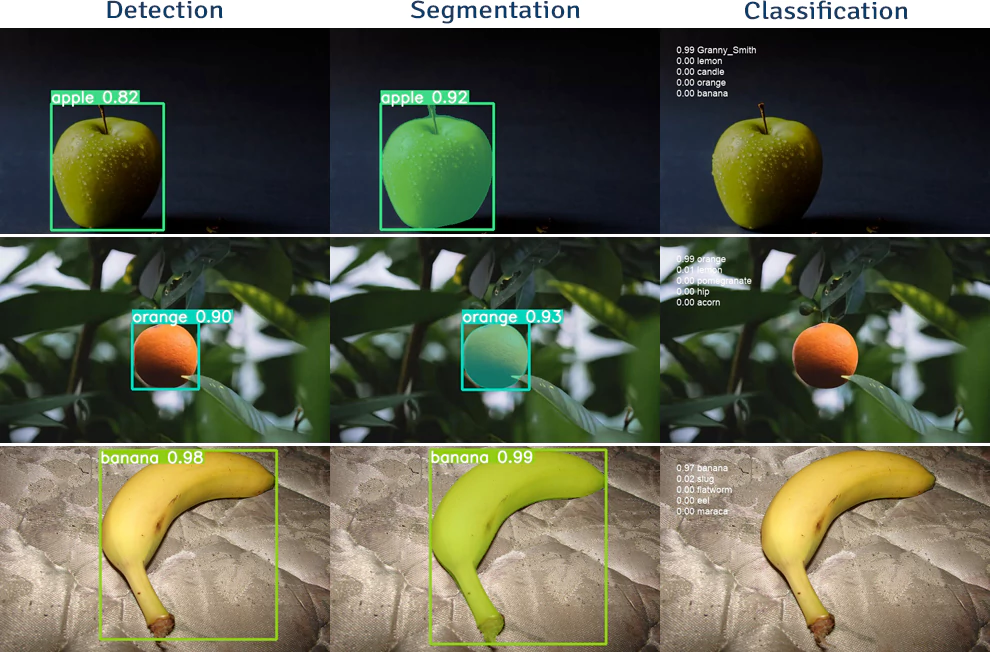 Detection, segmentation, classification using YOLOv8