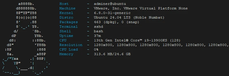 Display system information using macchina on Ubuntu