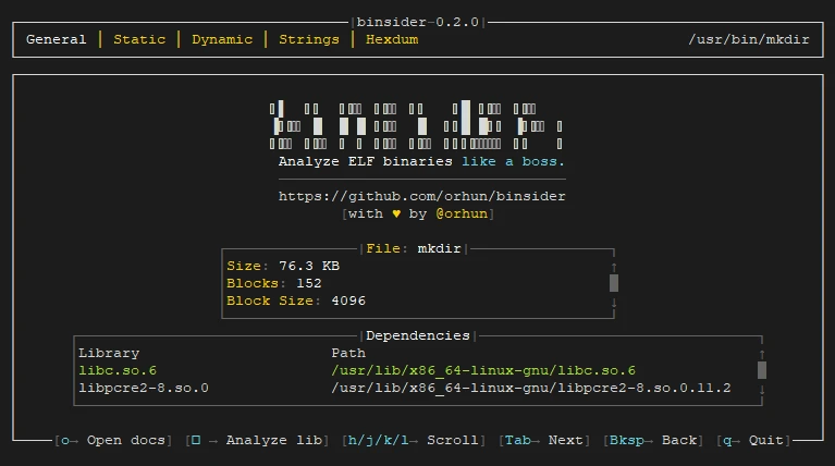 Analyze binary file using Binsider