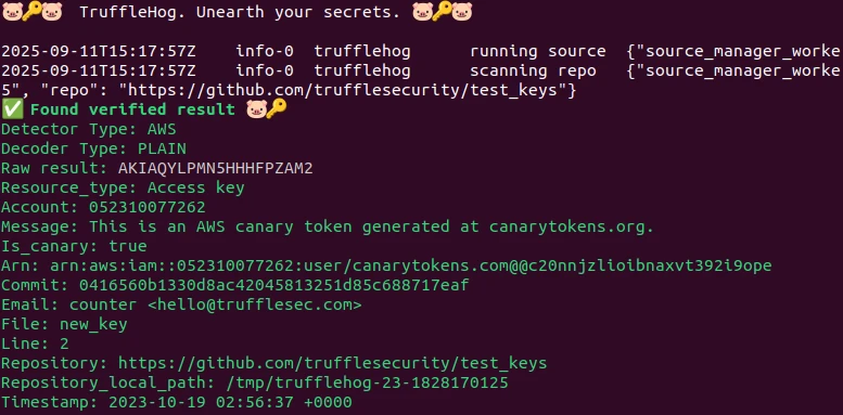 Find secrets in GitHub repository using TruffleHog inside Docker container on Linux