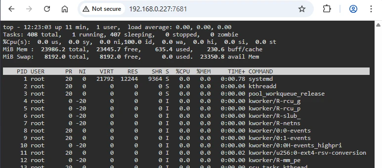 Share terminal using ttyd on Ubuntu