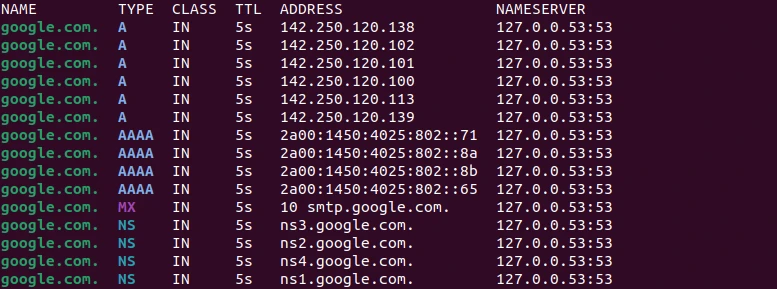 DNS lookup using doggo on Ubuntu