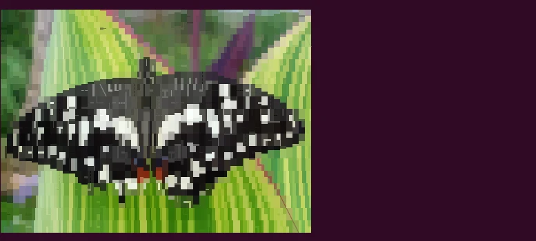 Display image in terminal using Chafa on Ubuntu
