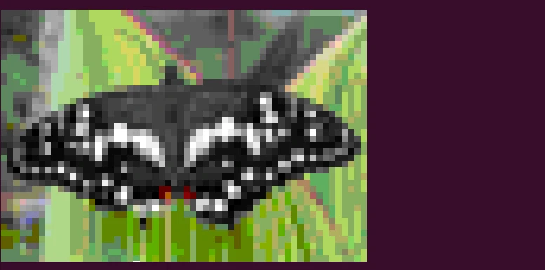 Display image in terminal using viu on Ubuntu