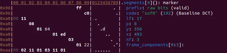 Binary data analysis with fq on Ubuntu