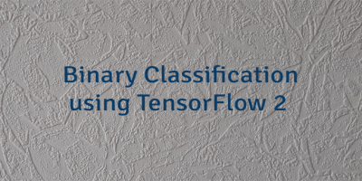 Binary Classification using TensorFlow 2