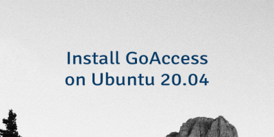 Install GoAccess on Ubuntu 20.04