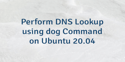 Perform DNS Lookup using dog Command on Ubuntu 20.04