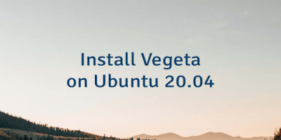 Install Vegeta on Ubuntu 20.04