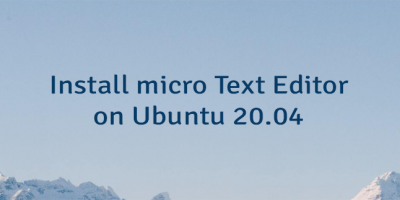Install micro Text Editor on Ubuntu 20.04