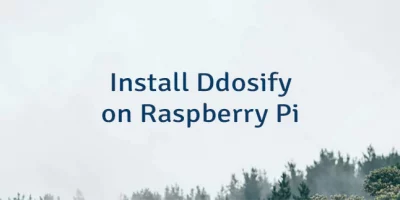 Install Ddosify on Raspberry Pi
