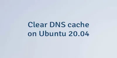 Clear DNS Cache on Ubuntu 20.04