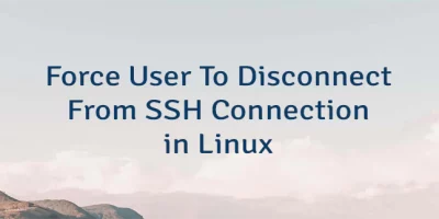 Force User To Disconnect From SSH Connection in Linux