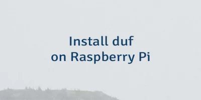 Install duf on Raspberry Pi