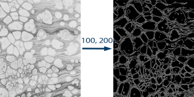 Apply Canny Edge Detection on Image using OpenCV