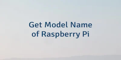 Get Model Name of Raspberry Pi