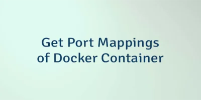 Get Port Mappings of Docker Container