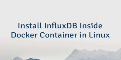 Install InfluxDB Inside Docker Container in Linux