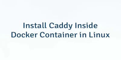 Install Caddy Inside Docker Container in Linux
