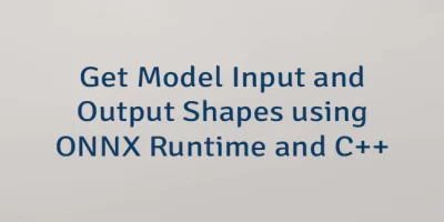 Get Model Input and Output Shapes using ONNX Runtime and C++