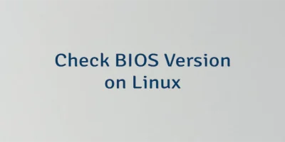 Check BIOS Version on Linux