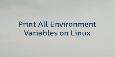 Print All Environment Variables on Linux