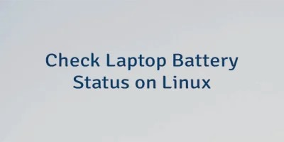 Check Laptop Battery Status on Linux