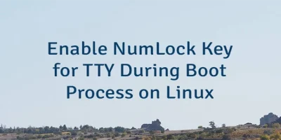 Enable NumLock Key for TTY During Boot Process on Linux