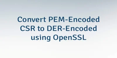 Convert PEM-Encoded CSR to DER-Encoded using OpenSSL