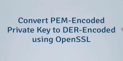 Convert PEM-Encoded Private Key to DER-Encoded using OpenSSL