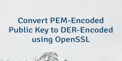 Convert PEM-Encoded Public Key to DER-Encoded using OpenSSL