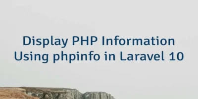 Display PHP Information Using phpinfo in Laravel 10