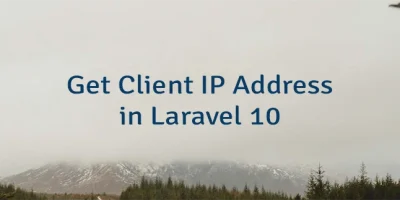 Get Client IP Address in Laravel 10