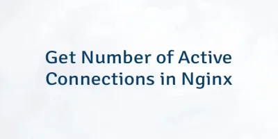 Get Number of Active Connections in Nginx