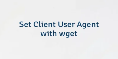 Set Client User Agent with wget