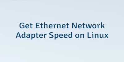 Get Ethernet Network Adapter Speed on Linux