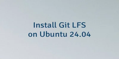 Install Git LFS on Ubuntu 24.04