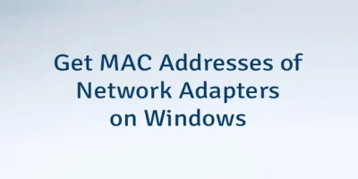 Get MAC Addresses of Network Adapters on Windows