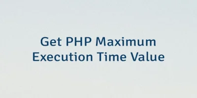 Get PHP Maximum Execution Time Value