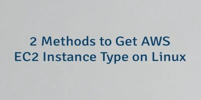 2 Methods to Get AWS EC2 Instance Type on Linux