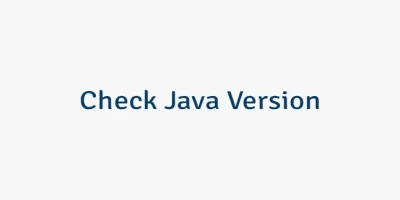 Check Java Version