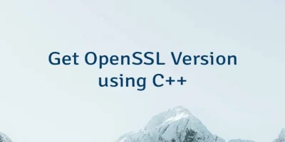 Get OpenSSL Version using C++